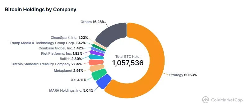 public company bitcoin holdings
