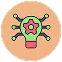 develop