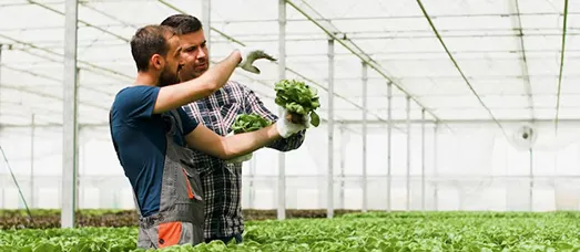 Agriculture