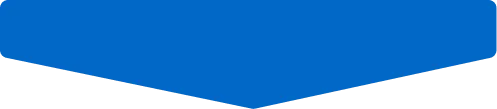 VectorImage