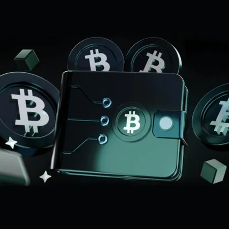 Multi-Wallet Compatibility