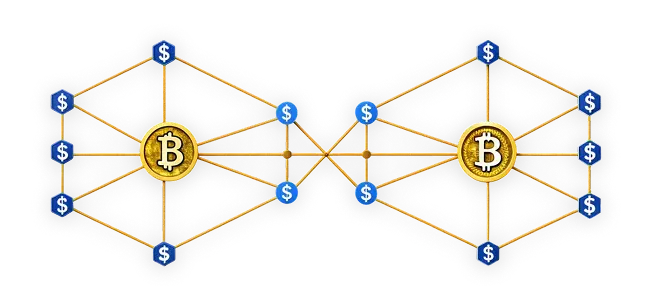 Real-World Applications: Our Crypto MLM Software Makes an Impact