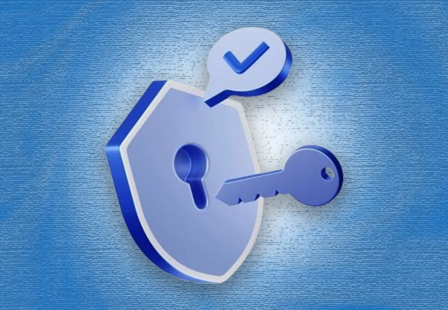 Penetration Testing and Security Audits