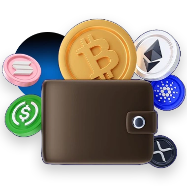 Plan Your NFT Wallet MVP With Troniex