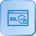 SSL/TLS Encryption
