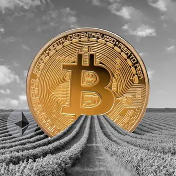 Yield Farming Protocol Driving Rapid Adoption