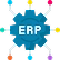 ERP Systems